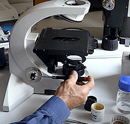 Microscope Repair Microscope Repair